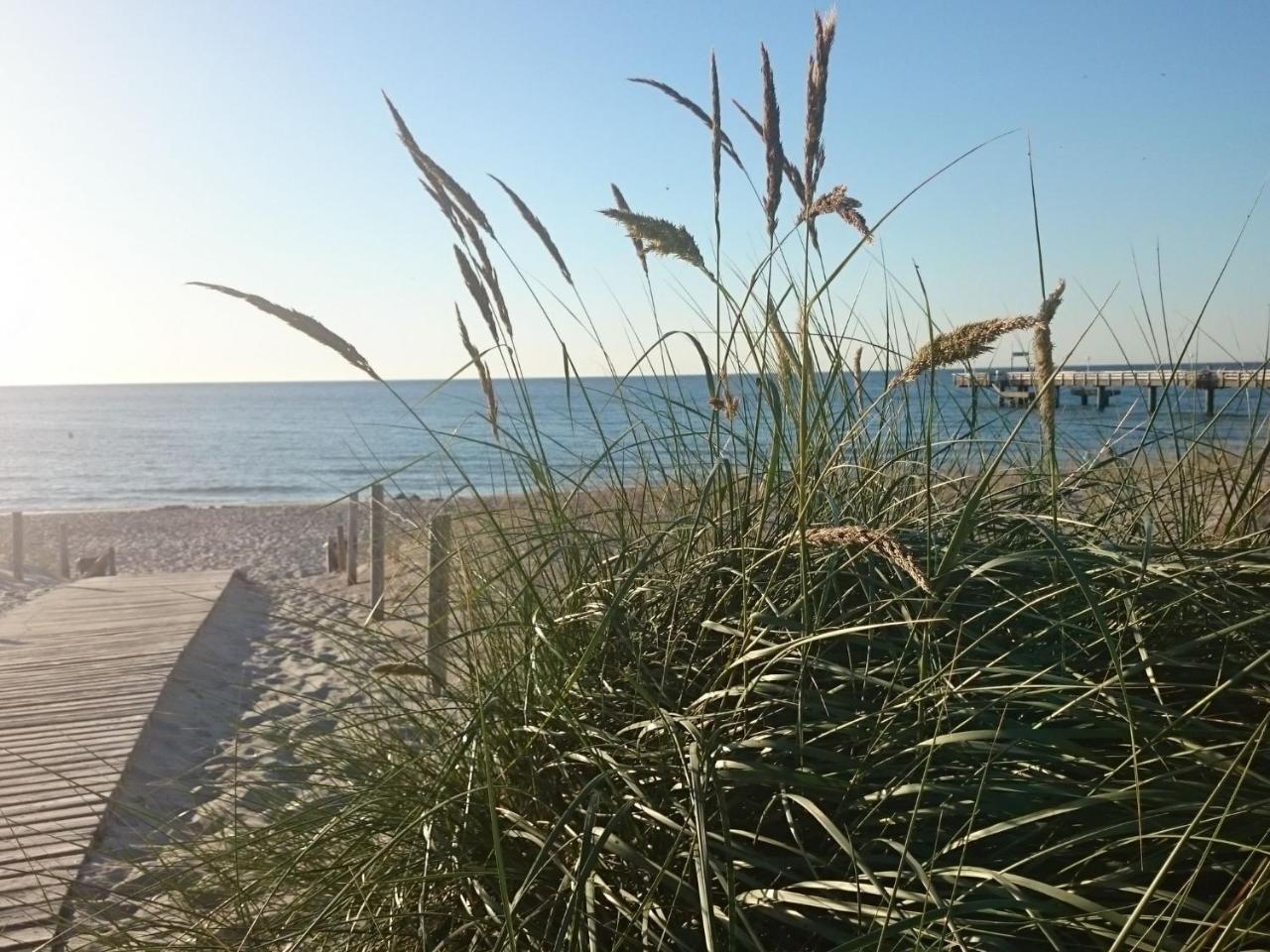 Holiday Home In Rerik Near The Baltic Sea Eksteriør bilde
